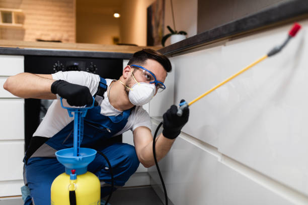 Best Bed Bug Extermination  in Blythewood, SC